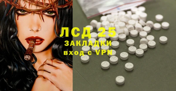 эйфоретик Аркадак