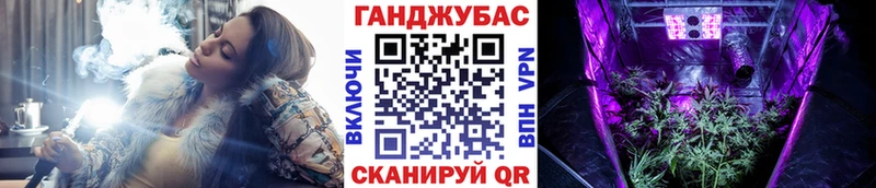 МАРИХУАНА SATIVA & INDICA  Стародуб 